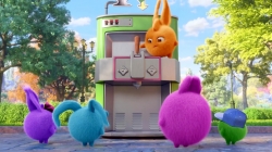 خرگوش های درخشان (تیم فوتبال)